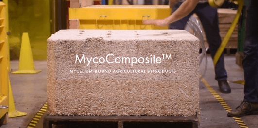mycocomposite screenshot